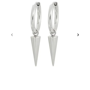 Edblad öronhängen  - Säljer dessa öronhängen då jag redan har ett par. Knappt ändvända, frakt tillkommer på 15kr😊😊pris kan diskuteras, skriv vid fler frågor