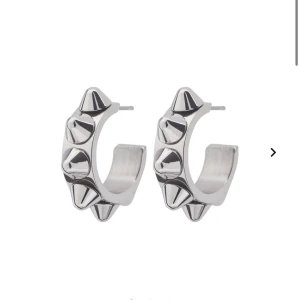 Edblad örhängen  - Säljer mina silvriga edblad örhängen, säljer pga inte min stil💞 