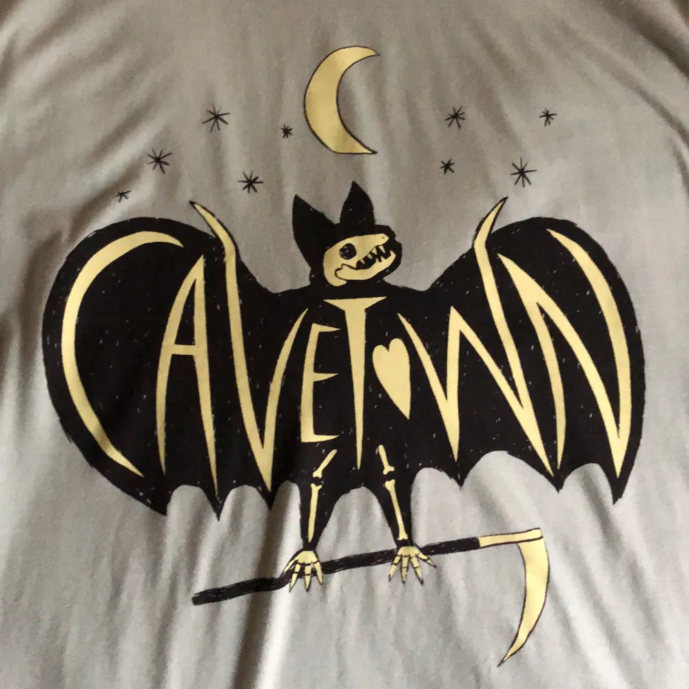 Äkta Cavetown tröja från konserten i fjol, oversized. Aldrig använd inga defekter. Tryck inte på köp nu tack!. T-shirts.