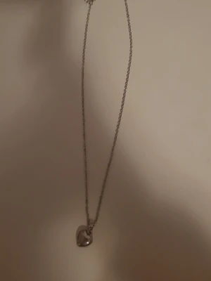Silver halsband  - Silver halsband som inte kommer till användning helt nytt :)