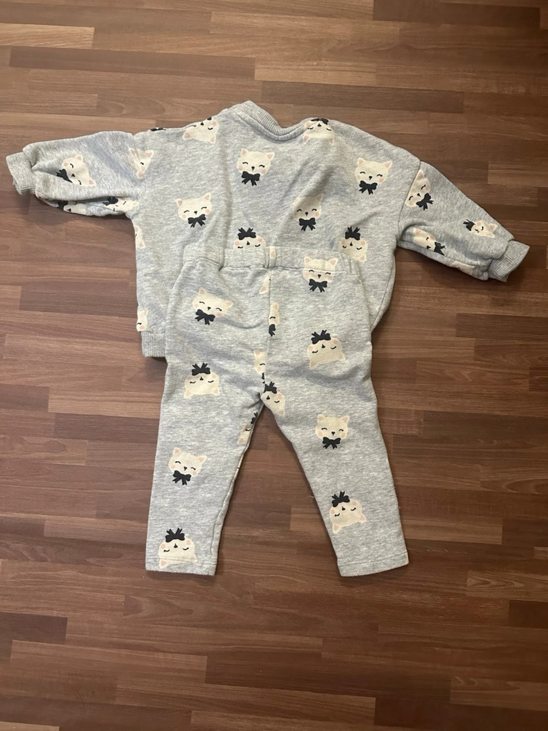 Grått set med katter - 2