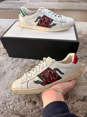 Gucci ace snake - Gucci ace snake i bra skick! 7/10. Defekter syns på bilderna. Uk 8.5 sitter som 42/43. Skor och box tillkommer. Kontakta mig vid funderingar.