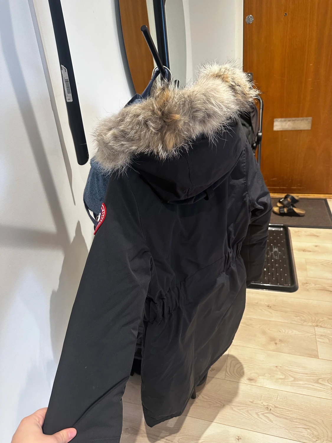 Canada Goose Trillium jacka dam - 2