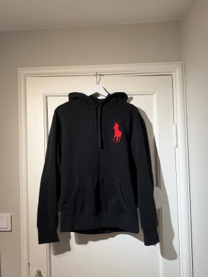 Ralph Lauren hoodie - Sjukt snygg hoodie i storlek S.                                  Bra skick utan några hål eller andra skador 
