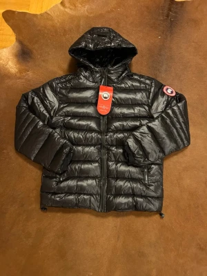 Svart dunjacka från Canada Goose - Svart dunjacka från Canada Goose med huva och klassisk logga på ärmen. Jackan har quiltad design, dragkedja framtill och två sidofickor med dragkedja. Materialet är glansigt och lätt, perfekt för kalla dagar. Snygg och stilren look med medium passform.