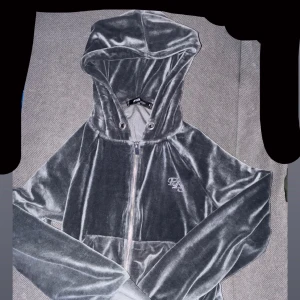 Grå velour hoodie från Newyorker - Säljer en grå hoodie i mjuk velour från Newyorker med dragkedja framtill och broderad logga på bröstet. Tröjan har huva med snörning och långa ärmar.