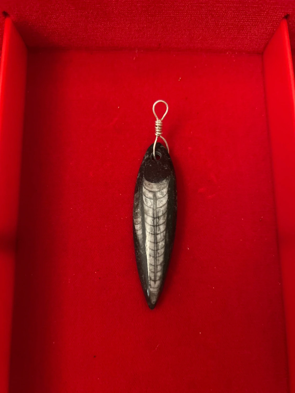 Halsband med fossilberlock och äkta silver hänge - 2