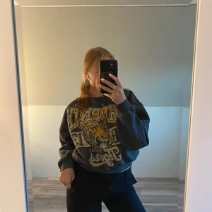 Svart sweatshirt Phoenix Tigers Stay XS - Cool svart sweatshirt från Stay. Tröjan har rund hals, ribbade muddar och en loose passform. 