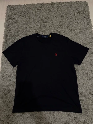 Ralph lauren t shirt  - Säljer nu min sjukt snygga Ralph Lauren t shirt! Helt ny med tags, dock har tagen lossnat och jag har tappat bort den tyvärr! Men fortfarande helt ny, aldrig använd! Skriv om det finns frågor! Nypris 999, men säljer för 249 så passa på! 