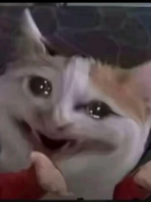 Hej - Säljer en bok på min bästa vän. Hon är en katt kolla upp så får ni bild av henne! Hon heter galanqe.