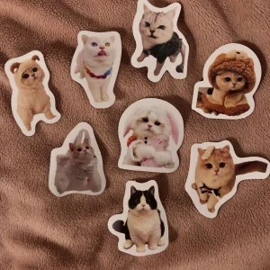 katt klistermärken  - supersöta katt klistermärken, alla för 40kr 🌸
