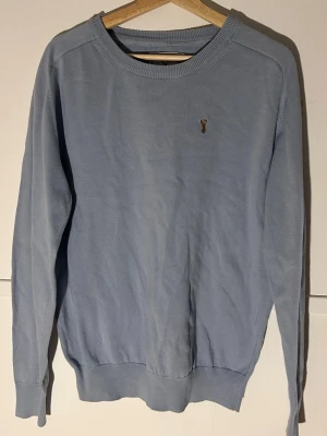 Ljusblå tröja från Haywood, storlek L - Ljusblå tröja från Haywood i storlek L. Klassisk rund halsringning och ribbade muddar vid ärmslut och nederkant. Liten broderad älg på bröstet ger en stilren touch. Materialet känns som bomull och tröjan har lång ärm, perfekt för kyligare dagar. Litet hål i ena armhålan.