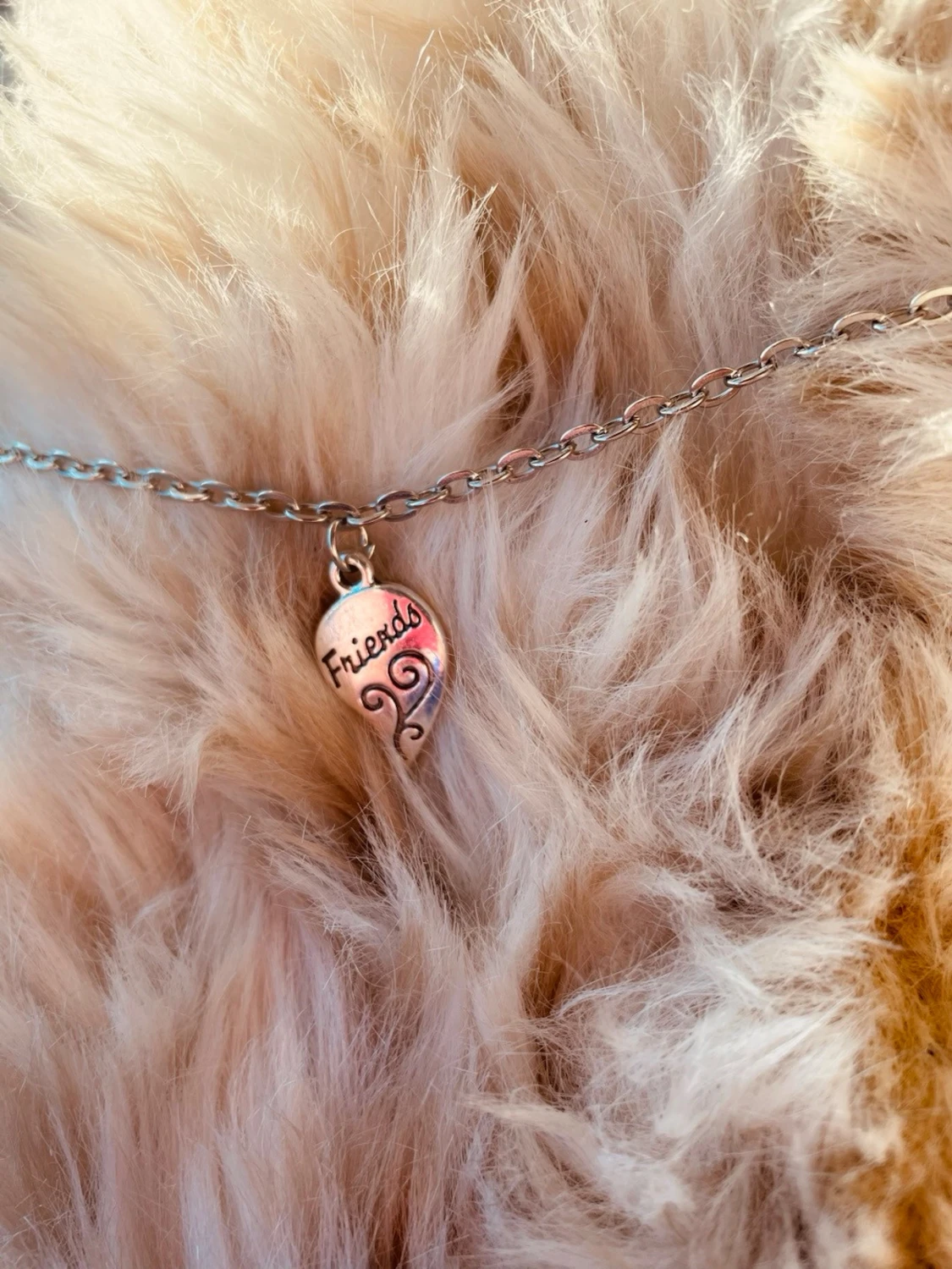 By prisförslag- halsband friends silvrigt Small för liten hund/katt  - 1