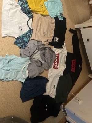 T-shirtpaket med Levi's och Vans - Säljer ett paket med trendiga t-shirts i olika färger och stilar från Levi's, Vans och Champion, Everest, Lyle and scott. Funkar för pojkar från 12-14 år även 15 år, 