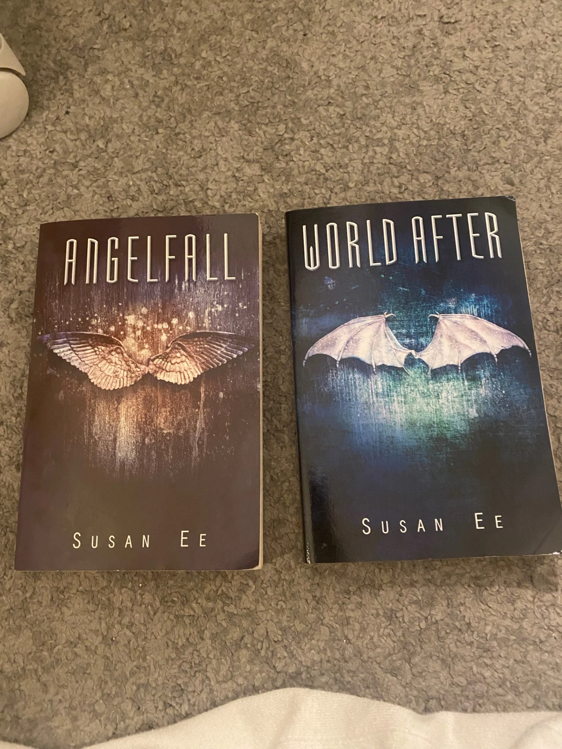 Angelfall & World After