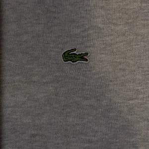 Lacoste tröja - En fin Lacoste tröja med storlek 14 år som motsvarar xs. Tröjan är köpt på en Lacoste butik för 1200. Den är använd enbart några gånger och har inga defekter alls. Skriv om ni har några frågor för vi svarar snabbt!