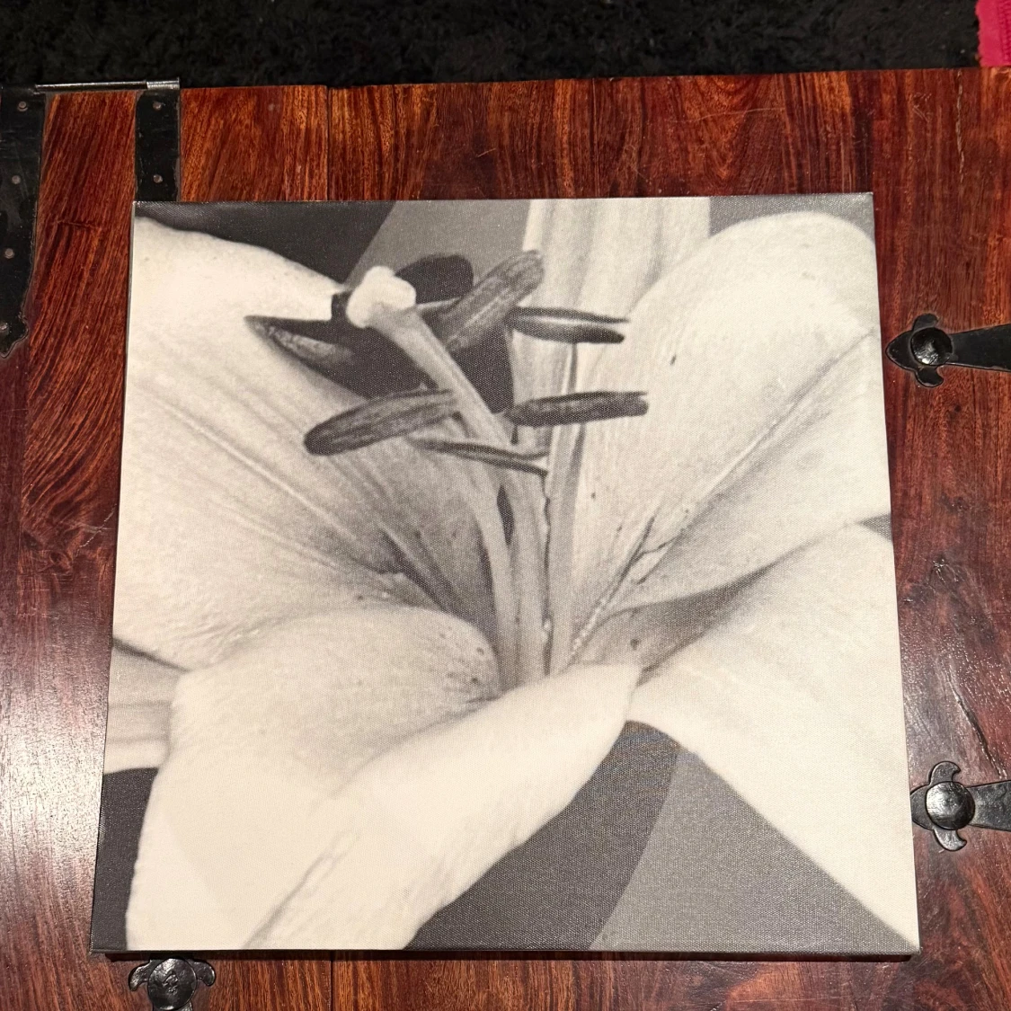 Tavla blomma i svartvitt