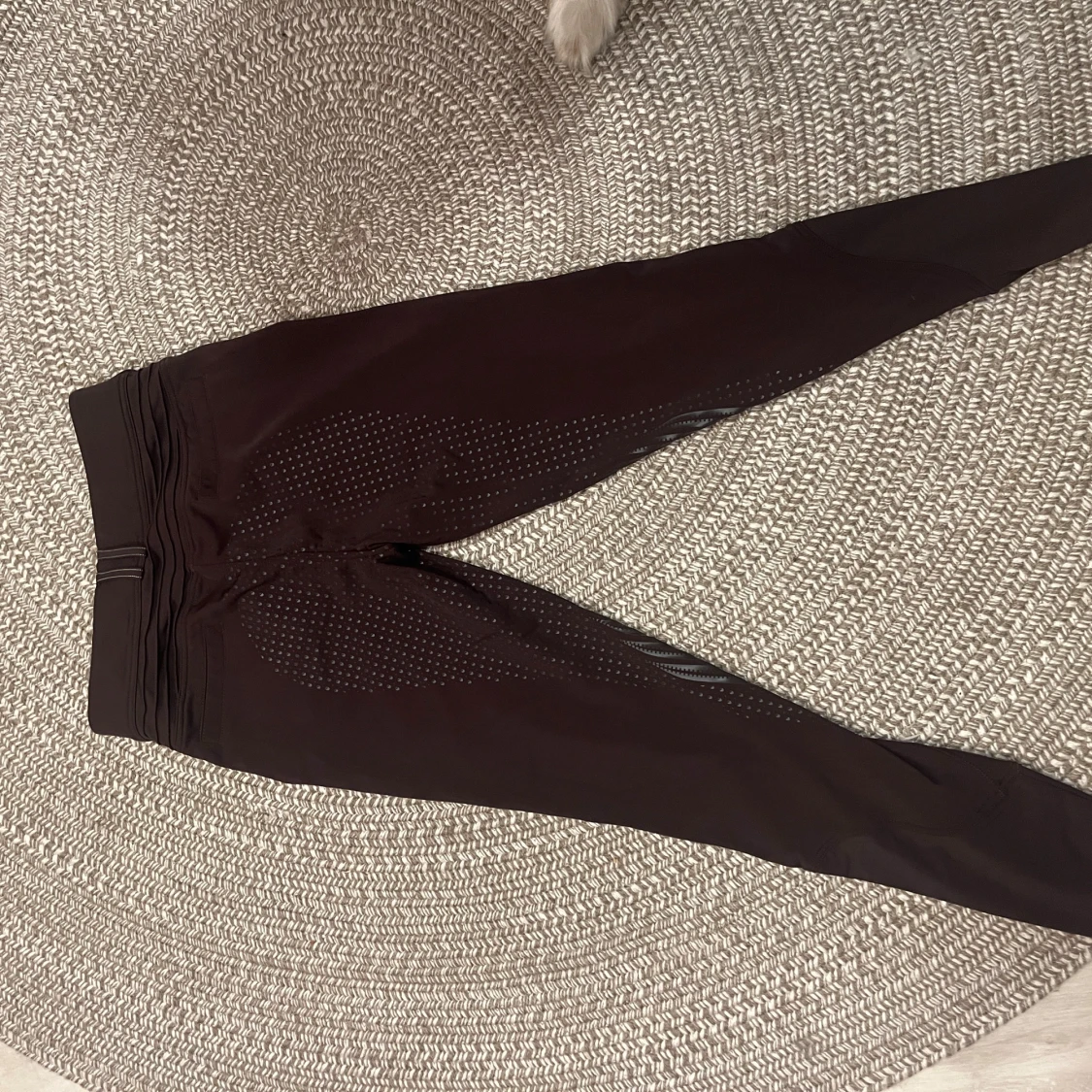 Bruna ridbyxor från Samshield, stl 34 - 2