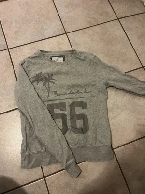 Tjocktröja  - Grå tjocktröja från bondelid, storlek S💗