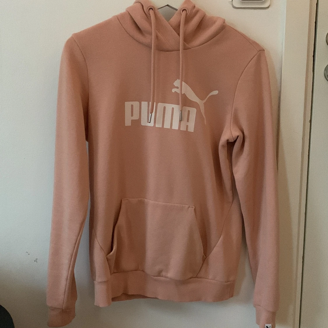 Puma huddie