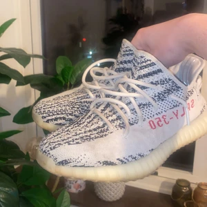 Yeezy Zebra us10, 44 - Låda och tag finns kvar samt kvitto, bra kondition går att tvätta till ännu bättre skick utan problem!