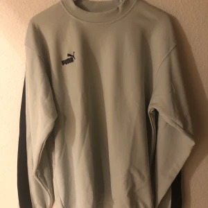 Puma sweatshirt - Ljusblå puma sweatshirt med en mörkblå linje köpt från Humana. Storlek L. Hör gärna av dig vid intresse eller om du vill ha fler bilder! Köparen står för frakt!