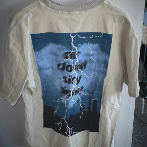 Vintage, Tryck på T-shirt - T-shirt, Size Medium, skick 10\10, pris 300 sek