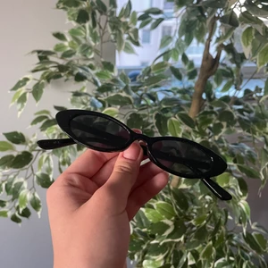 Solglasögon  - Säljer dessa nordegrens solglasögonen nu då de inte kommer till användning! Frakt tillkommer (45kr)💖