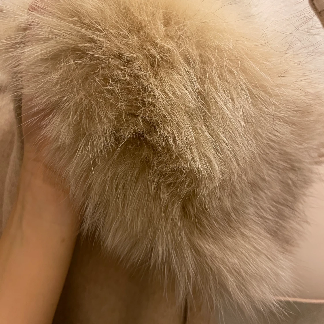 ÄktaPälskappa S-M - 91