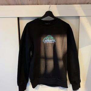 Carhartt Sweatshirt - Ny oanvänd Carhartt sweatshirt i storlek S. Nypris: 1000kr
