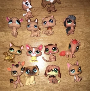 Little pet shop  - Säljer mina gamla Pet shops. De har gått upp i värde eftersom att de inte går att få tag på längre. Men jag har valt att sälja dessa för 10 kr st. Hör av dig privat om du är intresserad 💕 Köparen står för frakten, den blir olika beroende på hur många du köper🤩 Du kan även köpa alla på bilden för 130 kr💕💕