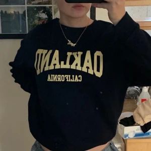 Vintage sweatshirt - Svinsnygg!!