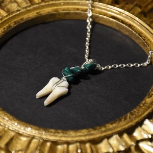 Halsband tand - Halsband med tand från gris och äkta malakit. Silvrig kedja. 