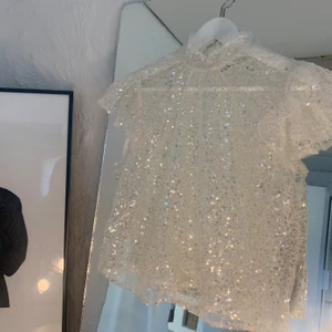 Paljett zara topp - Jättefin paljett topp från zara⭐️✨ endast använt fåtal gånger, jättebra skick! Frakt tillkommer