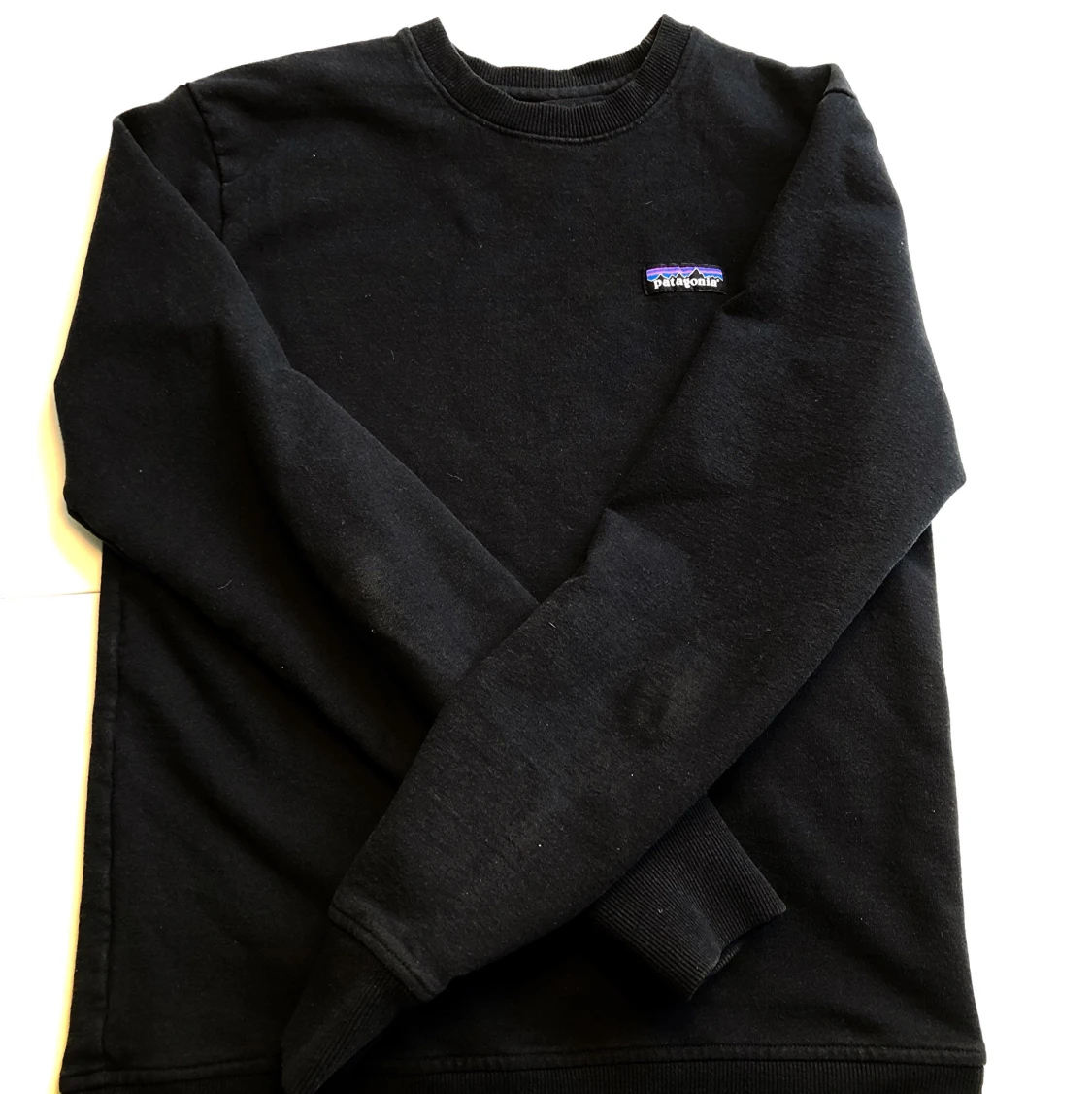 Stilren crewneck från Patagonia