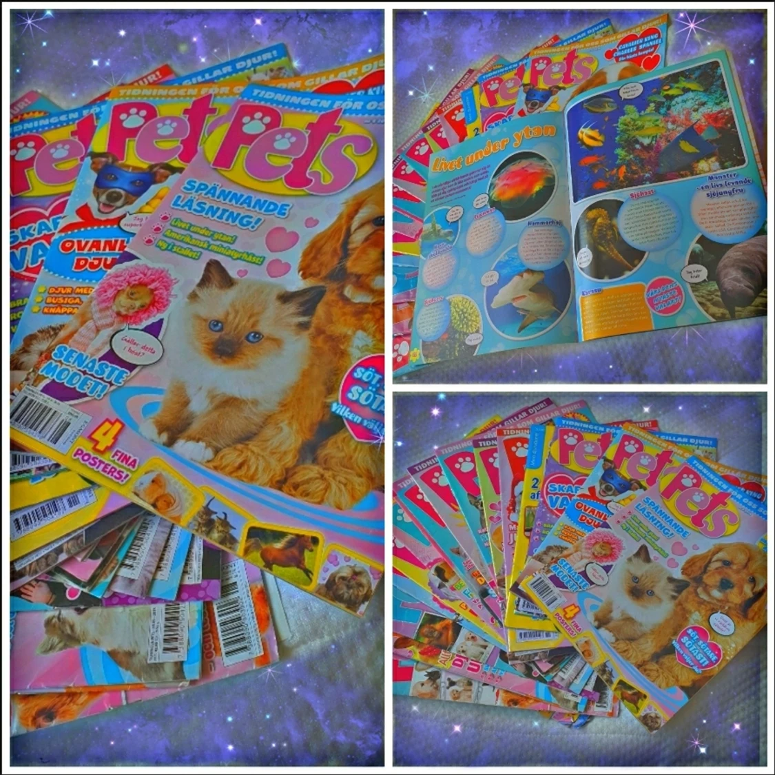 Pets Magazine från år 2017-2011 ( 10 kr för en ) - 91