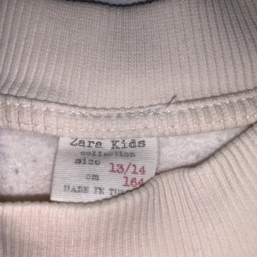 Säljer denna fina sweatshirt som är i jättebra skick och bara använt ett fåtal gånger den är i barnstorlek 164 men skulle säga att den är i en S/M säljer för 100+frakt (66kr). Tröjor & Koftor.