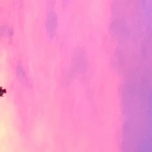 Har en helkasse med kläder - Jag har en hel kasse med kläder stl xxs ni får komma privat o så kan jag ta bild på alla 