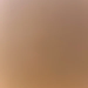 Sweatshirt  - En fin sweatshirt från GANT som inte kommit till andvändning