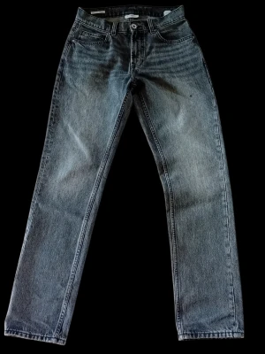 Vailent Regular w28 L 32 herrjeans med vintagekänsla - Jeansmodell - en straight fit med avslappnad look, regular waist och 5 fickor. Inspirerad av 90-talet, kombinerar den stil och komfort på ett perfekt sätt med sin bekväma stretchkvalitet.  Regular fit Raka ben Stretch Mid waist  Finns i rök- och djurfritt hem.