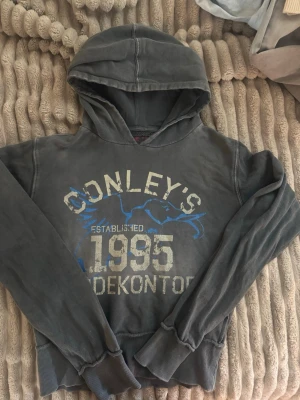 Grå hoodie med tryck från Conley's - Säljer en grå hoodie från Conley's med tryck i vitt och blått framtill. Hoodien har huva, ribbade muddar vid ärmslut och nederkant samt ett coolt vintageinspirerat tryck med texten 'Established 1995'. Perfekt för en avslappnad streetstyle.