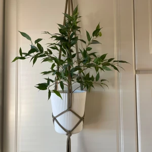 Grön ampel - En enkel grön ampel, passar till kruka 13-15 cm , längd 60-65 cm 