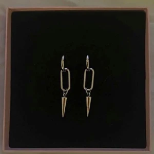 Silver örhängen Alvazessentials - Jättefina silvriga örhängen från Alvaz essentials i modellen ”Small Signature Hoop”. Längden är 5cm och nickelfria 😍Nypris 159kr/st jag säljer båda för 199kr