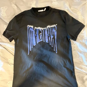 Grå t-shirt med blått tryck Weekday - Grå t-shirt från Weekday. Mycket vra skick, knappt använd