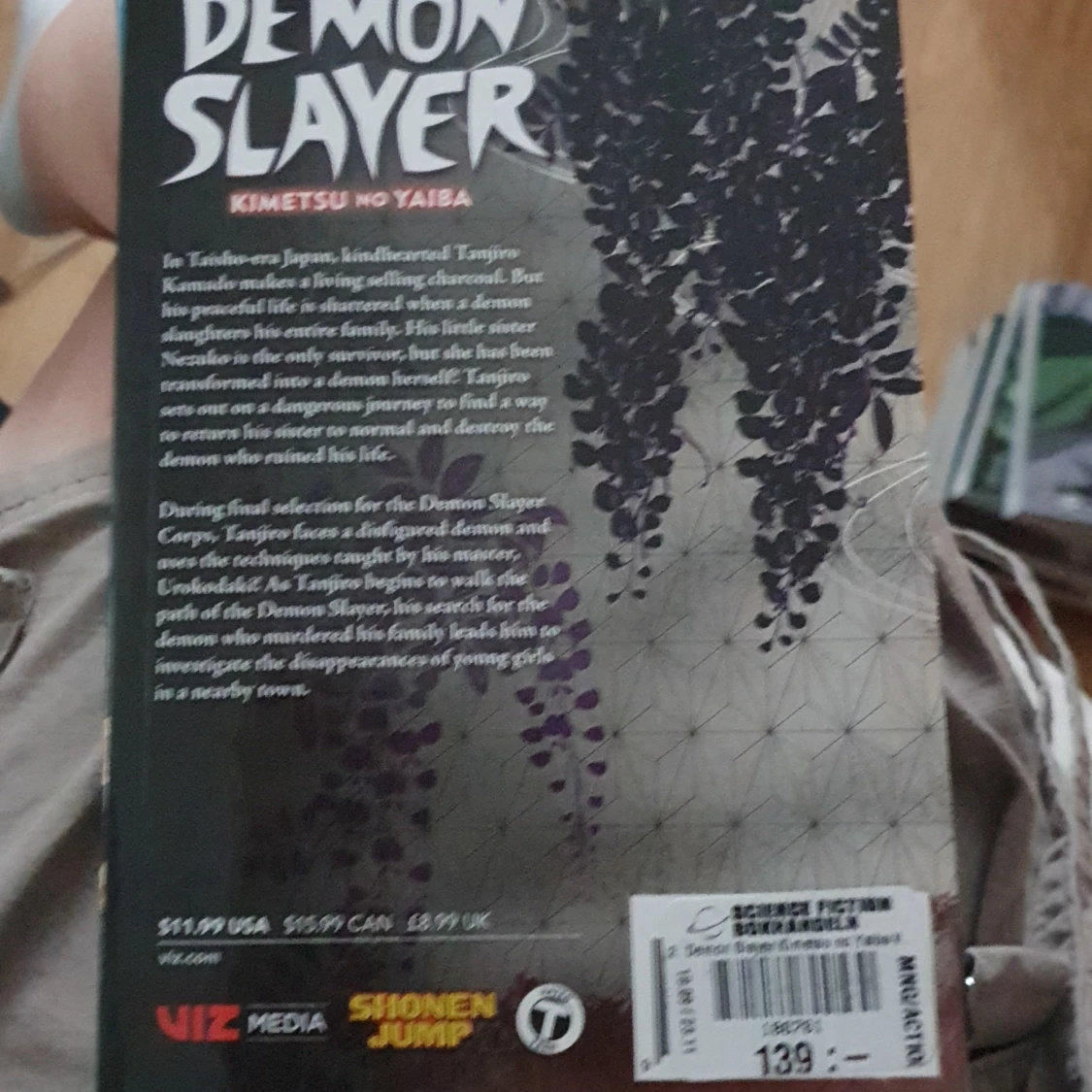 Demon slayer vol 2 - 1