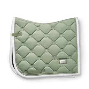 Equestrian Stockholm schabrak - Dressyrschabrak från equestrian Stockholm i färgen pistachio white, storlek full. Varsamt använd och har inga större defekter än lite smutsigt på de vita delarna som inte gått bort när vi tvättat. Nypris 899kr.