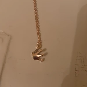 Guldhalsband  - Elegant guldhalsband med en liten kronberlock hängandes löst. Detta halsband är ej nickelfritt och är hemmagjort. 
