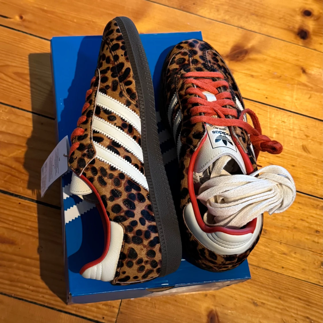 Adidas samba og leopard