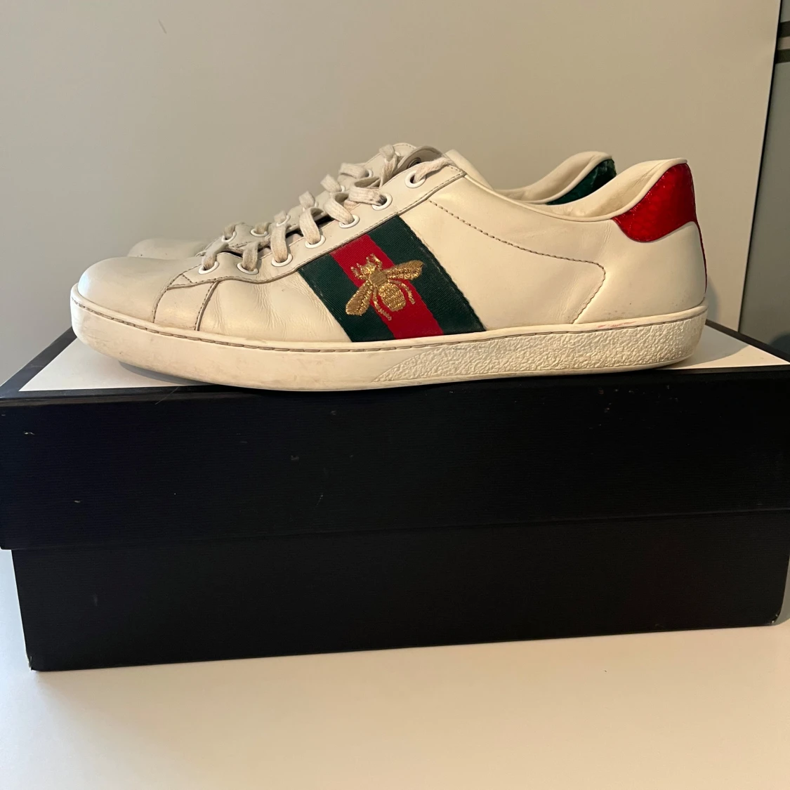 Gucci ace