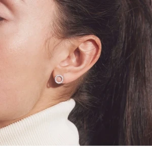 Silverörhängen ifrån Edblad - Snygga och eleganta silverfärgade örhängen i cirkelform med glittrande stenar runt om ifrån Edblad. Kommer i en presentask.